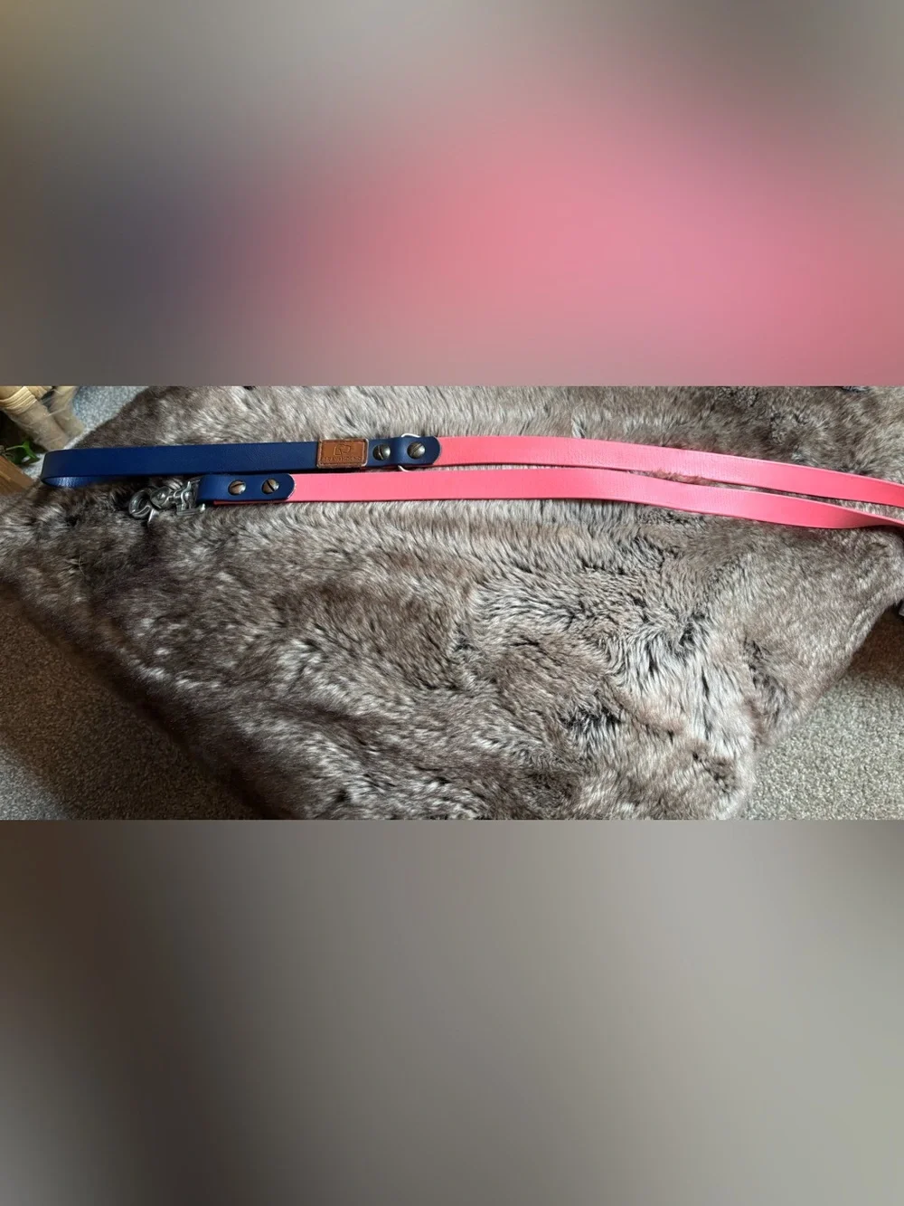 Gray Hound 6 ft leash in Navy and coral -good condition